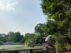 -顺峰山公园