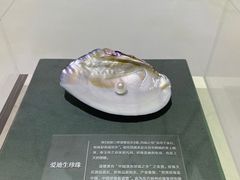 -诸暨博物馆