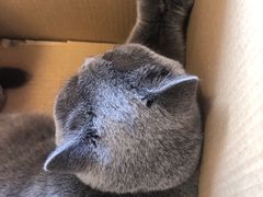 -爱派特动物医院·全科诊疗中心