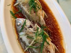 -新海利海鲜城·41年珠海老字号(夏湾店)