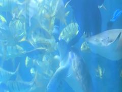 -洛阳龙门海洋馆