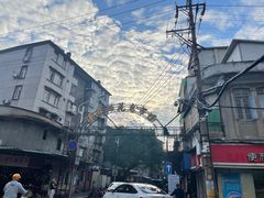 -溪岸路花鸟市场
