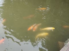 -珠海圆明新园