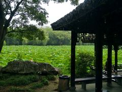 -高子水居