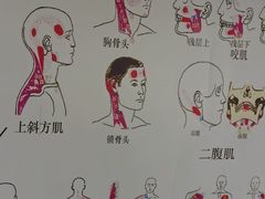 -裕和堂中医推拿艾灸(太古汇臻品店)