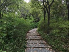 -新江湾城公园