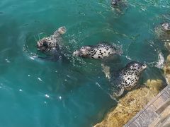 -华夏文旅海洋公园