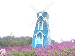 -铁山坪森林公园