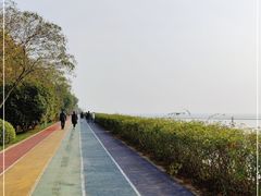 -贡湖湾湿地公园