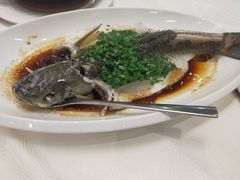 -东方御宴海鲜酒楼(棕泉酒店)