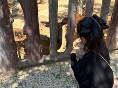 -石家庄市动物园