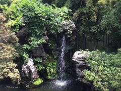 -上海醉白池公园