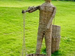 -建华生态湿地百荷园