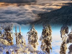 -瓦屋山景区