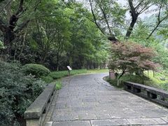 -常德桃花源景区