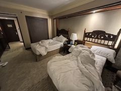 -马尼拉酒店