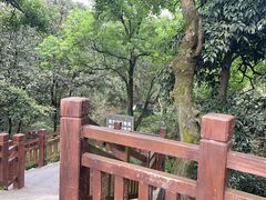 -岳麓山风景名胜区