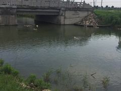 -乡乐园蟹庄·阳澄湖农家乐