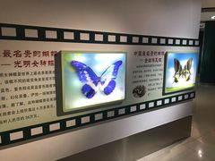 -上海昆虫博物馆