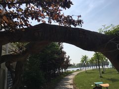 -上海都市菜园