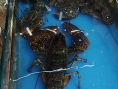 -87号烧烤海鲜·大排档(金沙滩店)