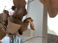 -娜娜家·Nana's restaurant(国金汇店)