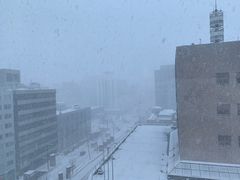 -北海道札幌格兰大酒店
