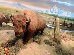 -陕西自然博物馆