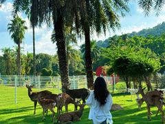 -东南花都花博园