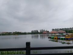 -上海长兴岛郊野公园