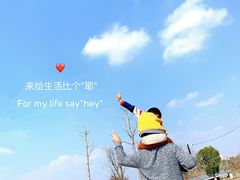 -武汉紫薇都市田园