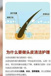 -Bollins波林丝•专研护发中心