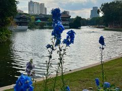 -荔湾湖公园