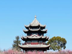 -上海海湾国家森林公园