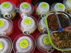 -南宁良凤江国家森林公园