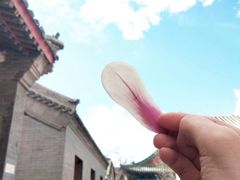-北京市府学胡同小学