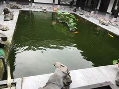 -陶辛水韵