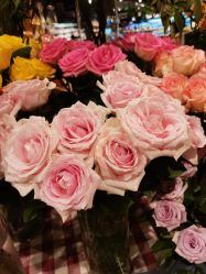 -艾米婚纱&婚礼策划