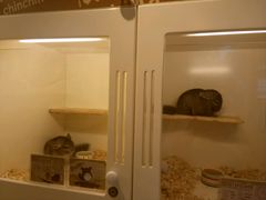 -龙猫仔乐园(惠福东路店)