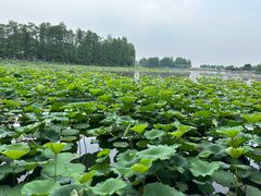 -湖滨客舍·湖北菜