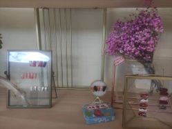 -彼家美创·量肤定制修护管理