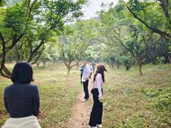 -广州市帽峰山景区