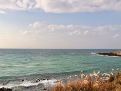 -Cafe Aewol Monsant