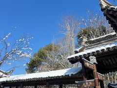 -八大山人梅湖景区