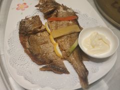 -骏莱海鲜鱼港(五角场店)