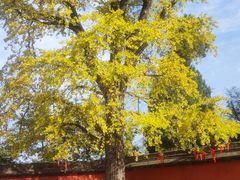 -金堂县云顶石城风景区