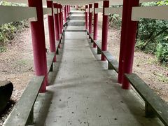 -天鹿湖森林公园
