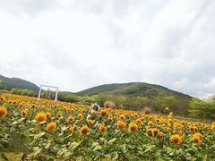 -亚龙湾国际玫瑰谷