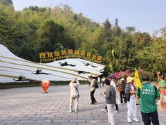 -西双版纳原始森林公园
