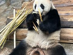 -海南热带野生动植物园